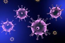 Các phát hiện mới về virut
